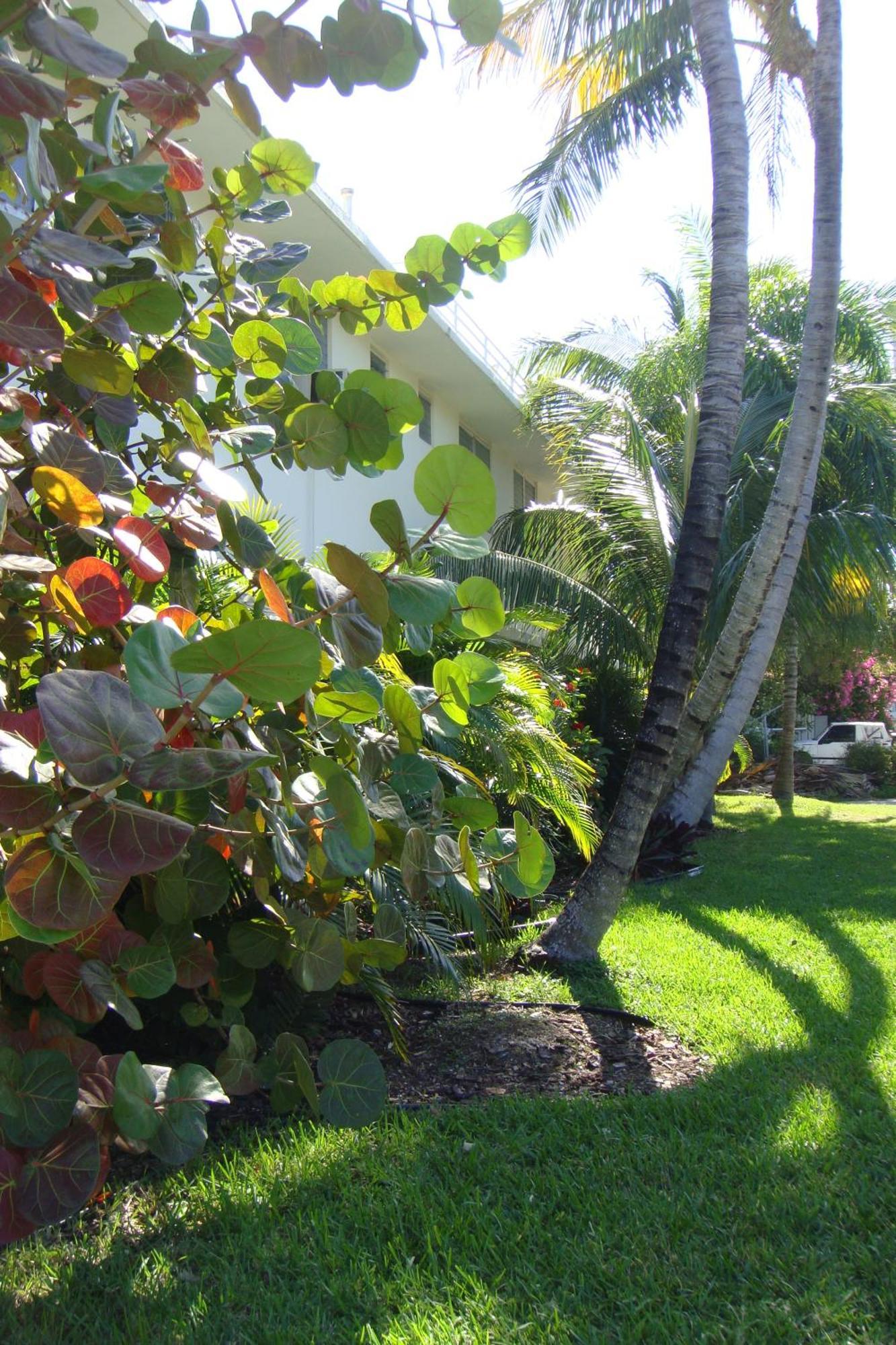 El Patio Motel Key West Bagian luar foto