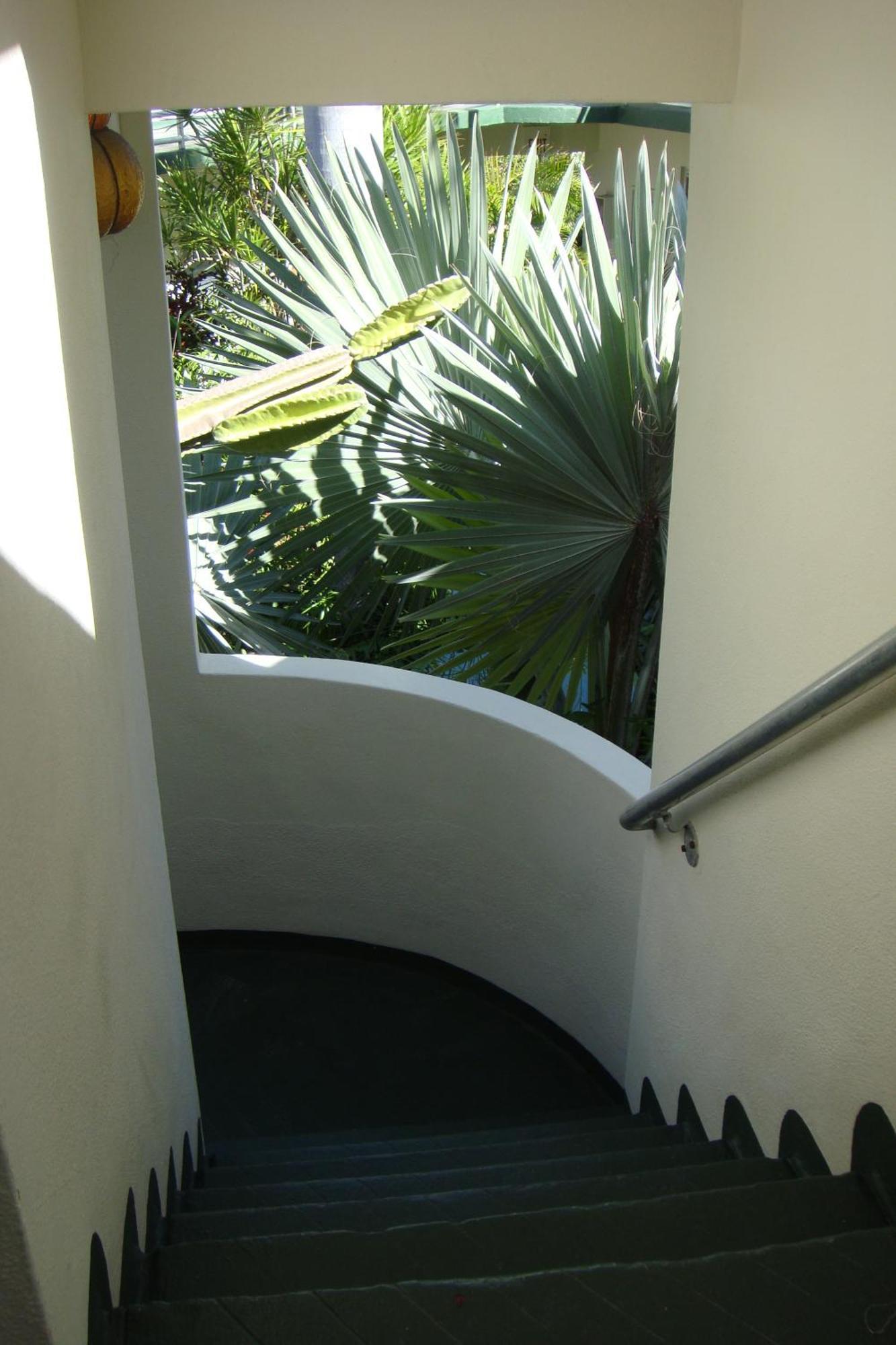 El Patio Motel Key West Bagian luar foto