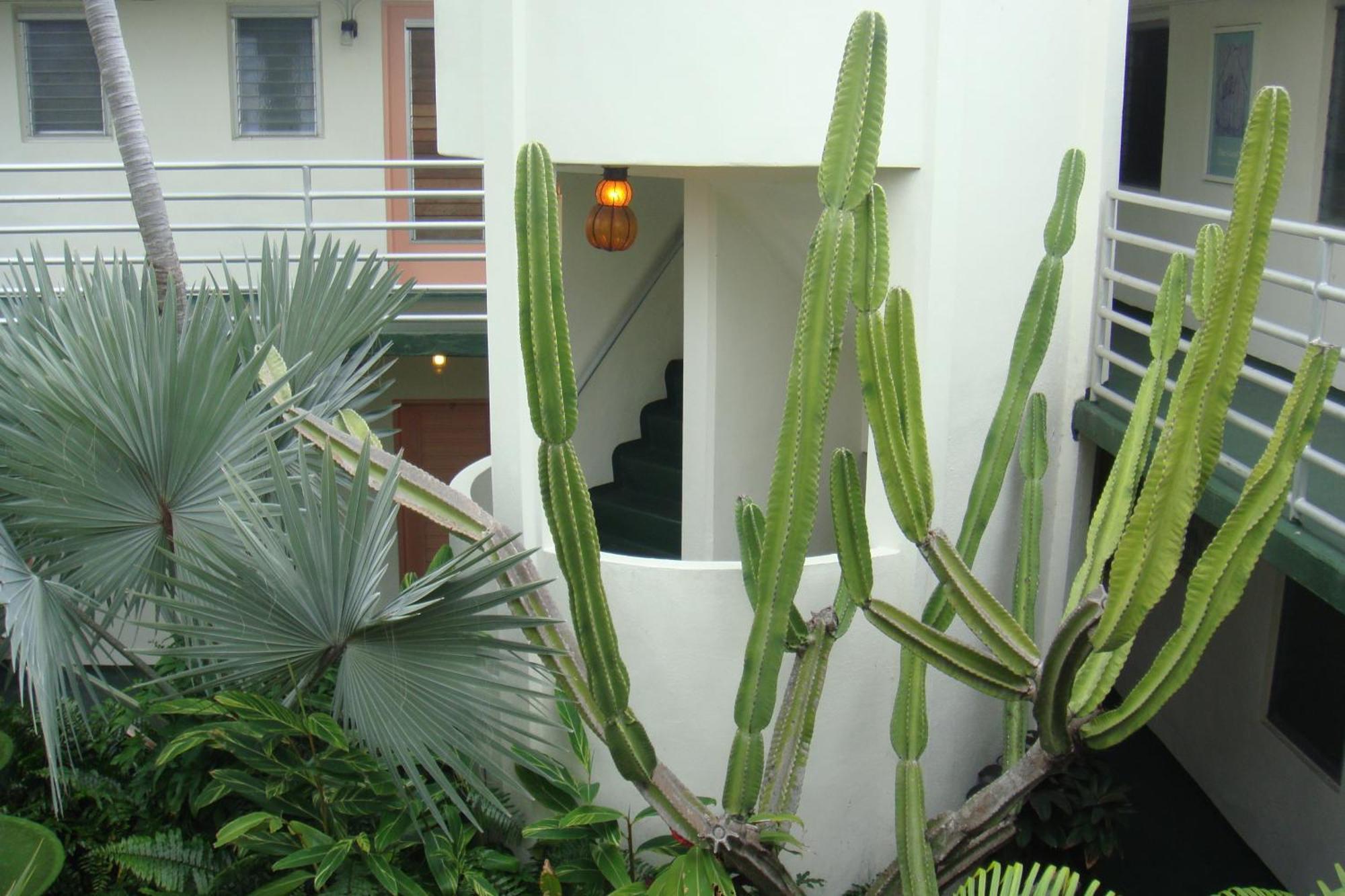 El Patio Motel Key West Bagian luar foto